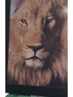 Majestic 3D Framed Lion & Lioness Wall Art – High Depth Effect 14" X18"